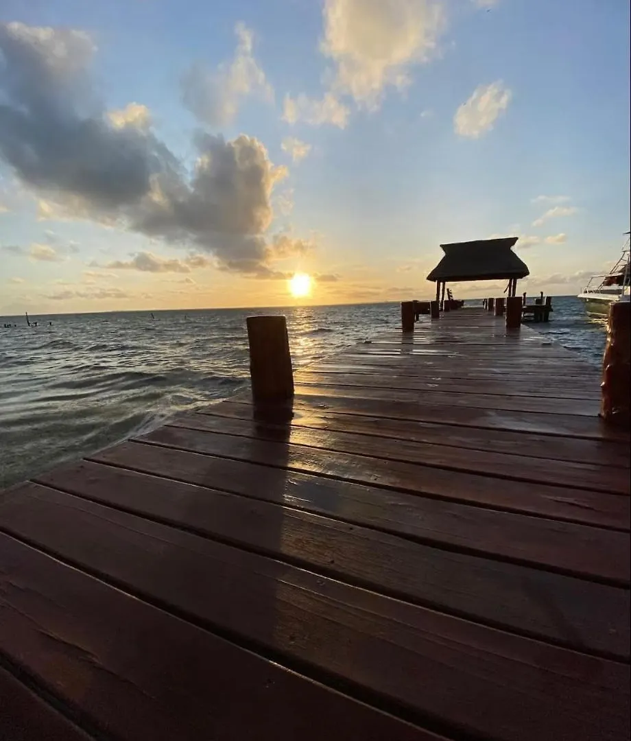Oceanfront Private Pier Pool Garden Terrace 3Br House Villa Cancun 0*,  Mexico