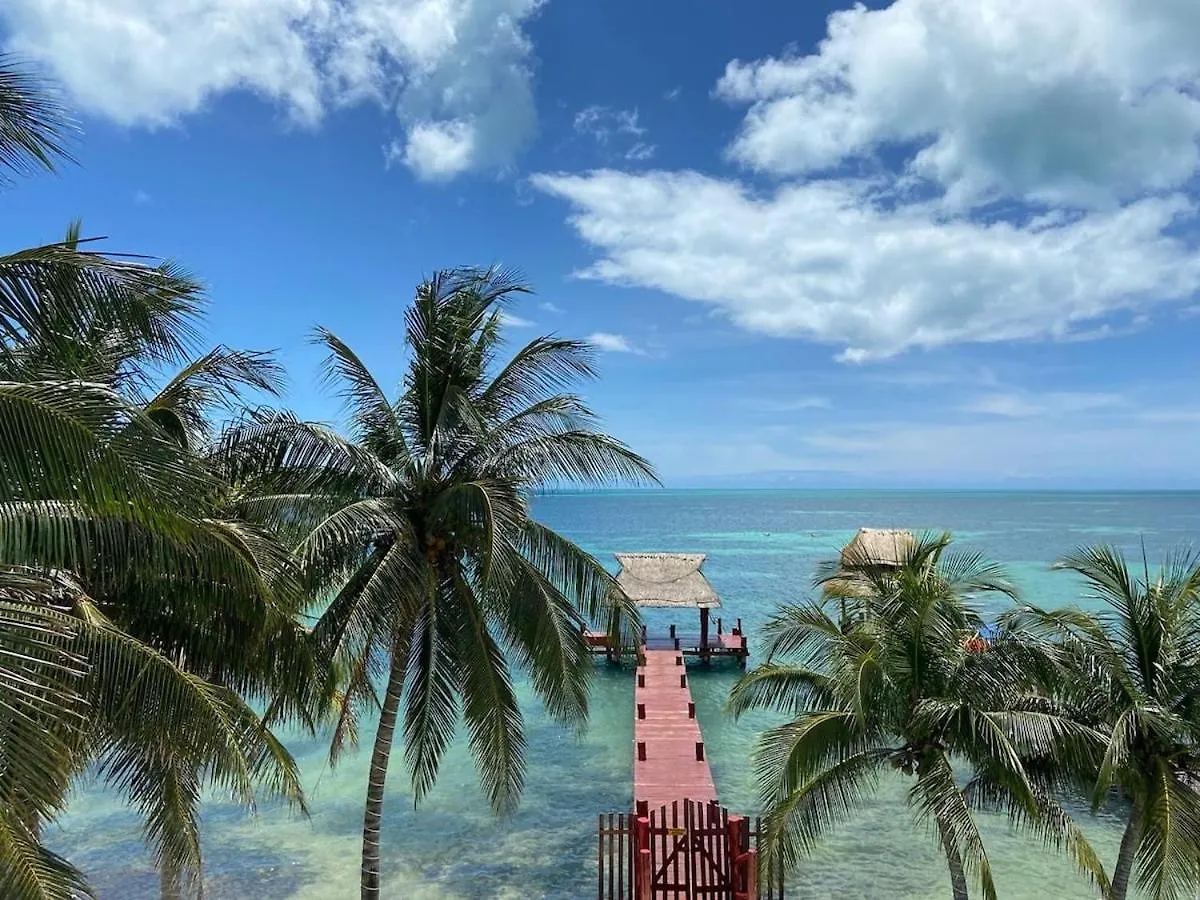 Oceanfront Private Pier Pool Garden Terrace 3Br House Villa Cancun